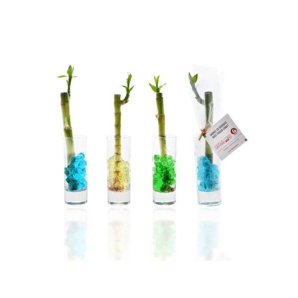 Bambou d'eau personnalisé Etretat 76