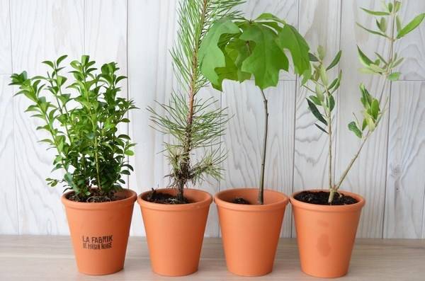 objet publicitaire écologique Le Havre 76