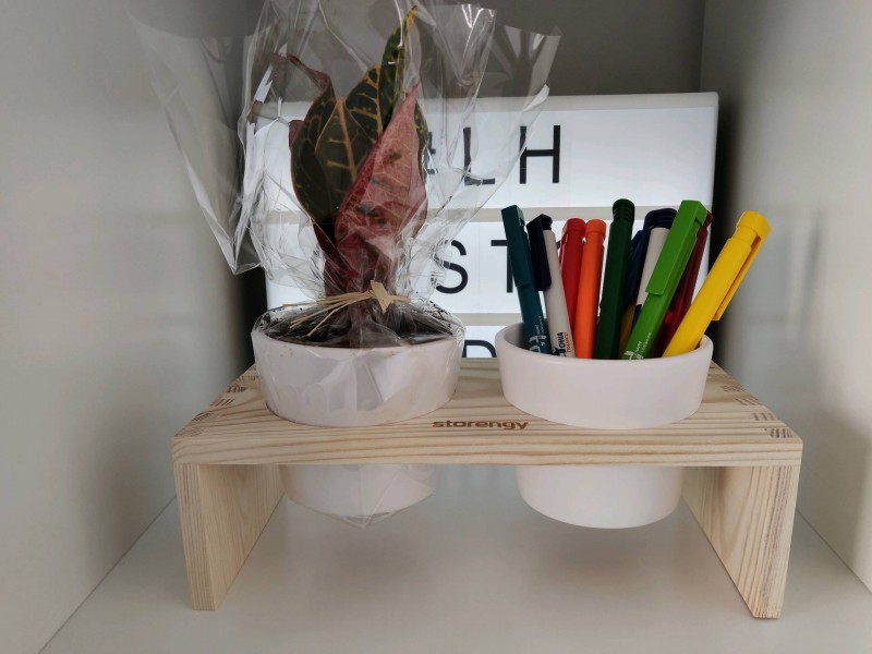 Plante de bureau personnalisée Paris 75