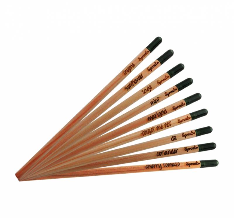 crayon graine personnalisé Le Havre